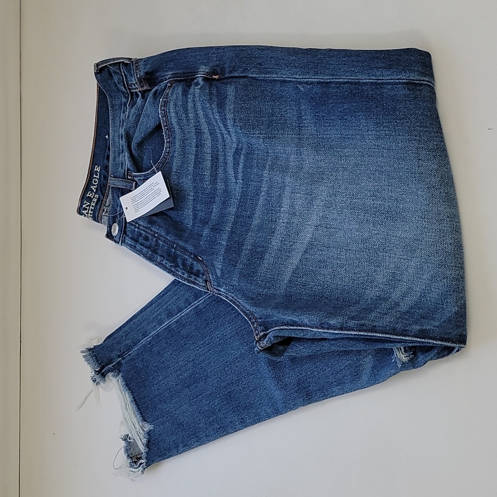 American Eagle 10 regular